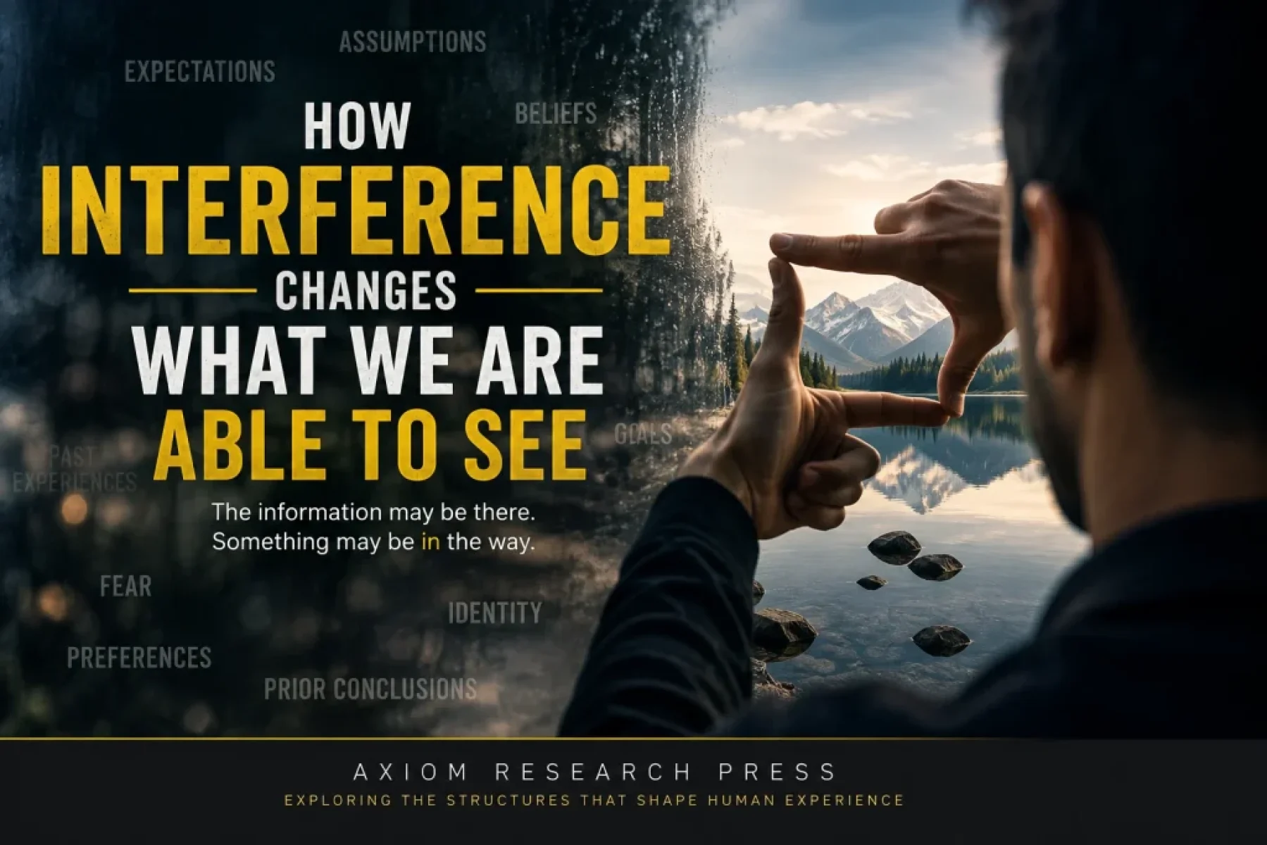 Interference affecting perception and what a person is able to see and recognize.